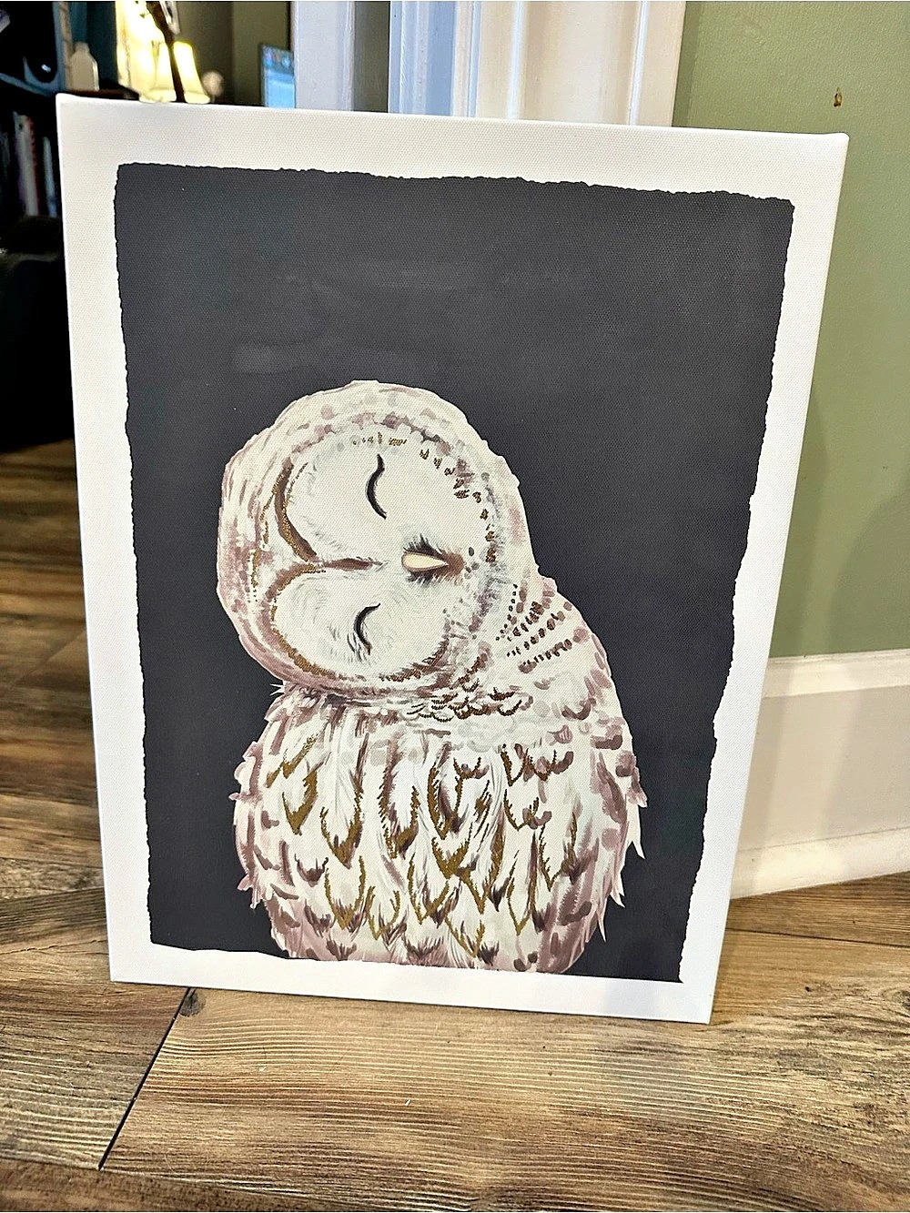 Hobby Lobby Sleeping Owl Wall Decor Canvas Print Black & Cream